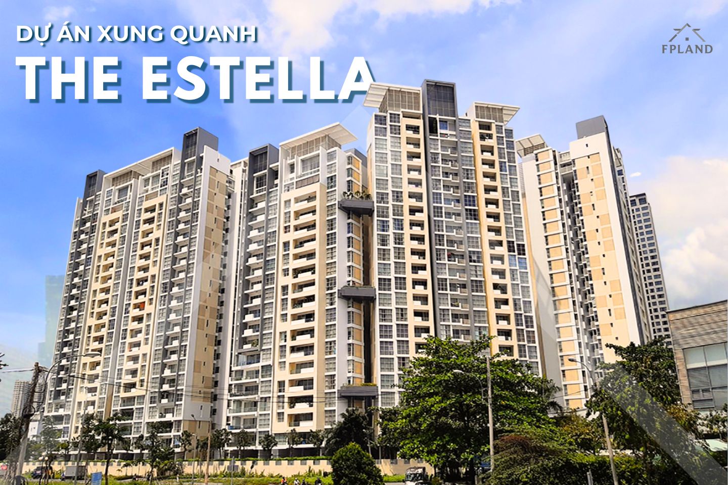 Dự án xung quanh The Estella